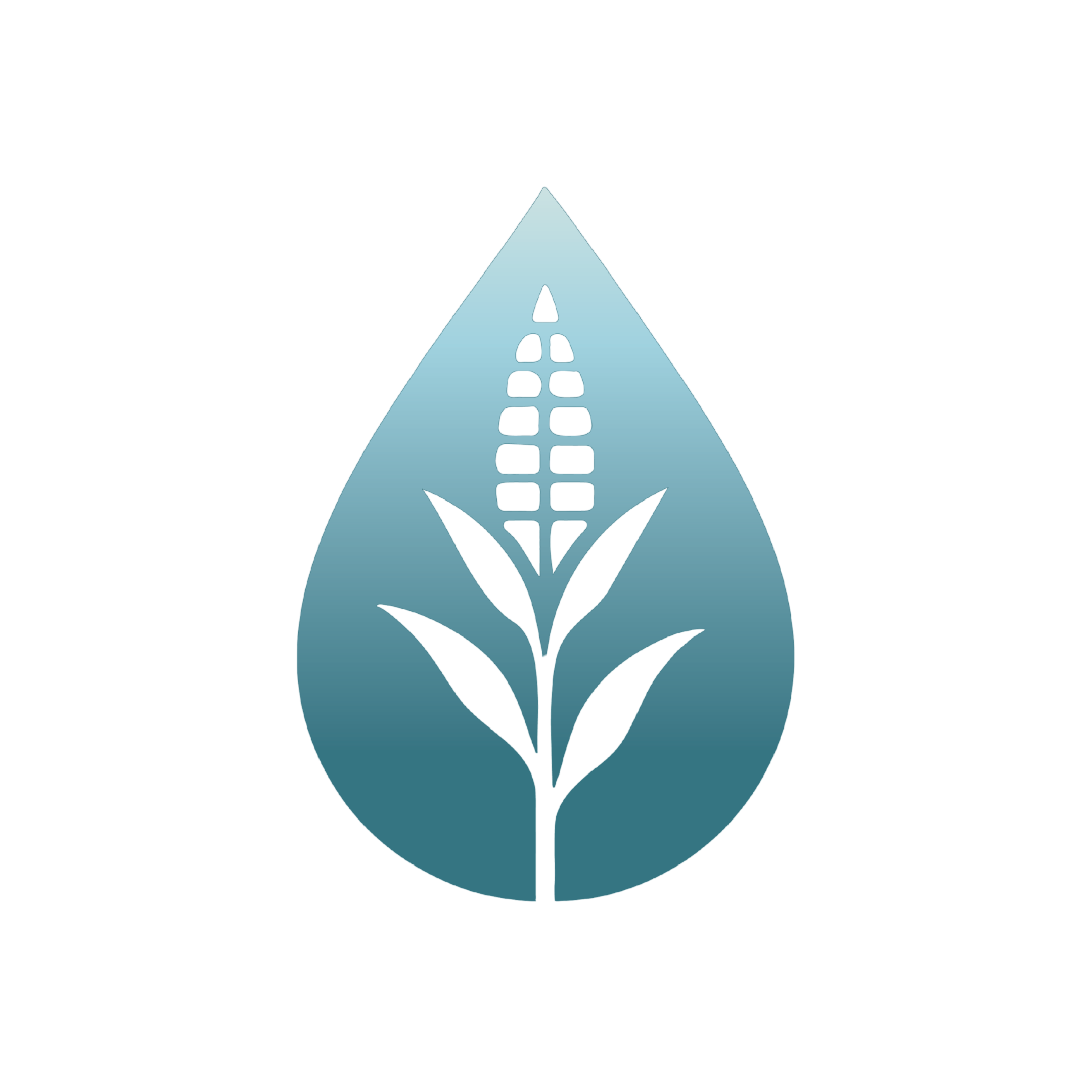 Blau Chem Logo